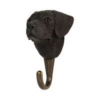 Krok Labrador Retriever 